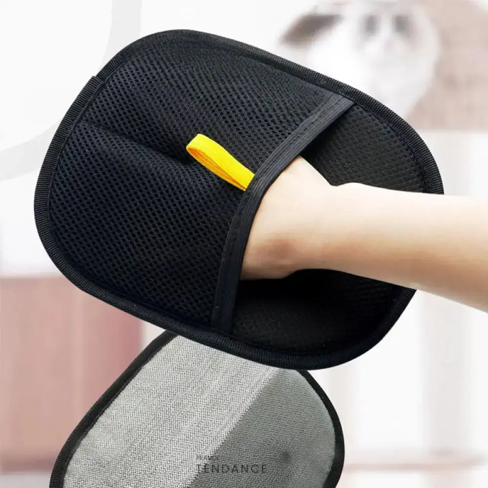 GANTIPOIL + | Le Gant Ramasse Poils révolutionnaire 2025