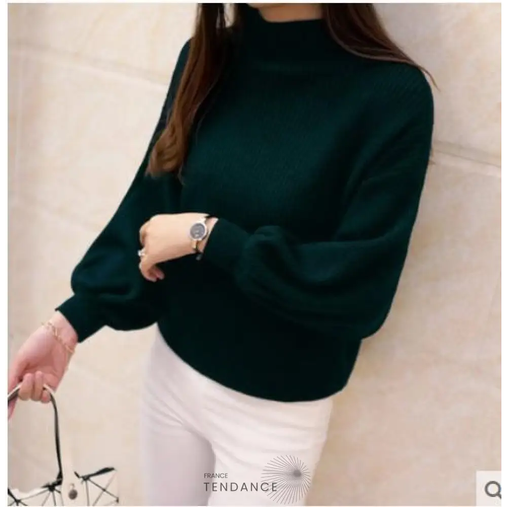 Pull Turtleneck | France-Tendance