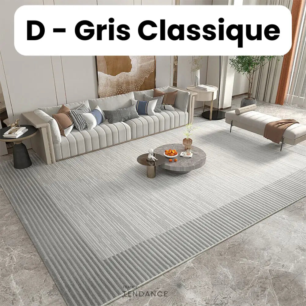 Tapis Magique Intachable | Incroyable Mais Vrai! D - Gris Classique / Paillasson (0.4X0.6M) Salon