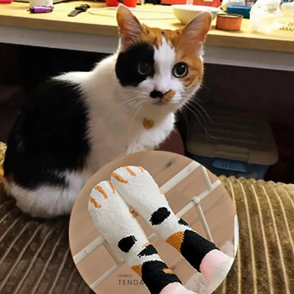 Chaussettes Pattes De Chat | France-Tendance
