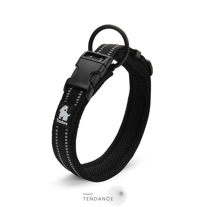 Collier Lumineux Réfléchissant Pour Chien | France-Tendance