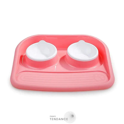 Double Gamelle Avec Plateau Pour Chat Et Chiot |