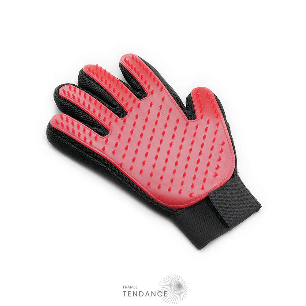 Gant De Massage Et Toilettage Pour Chat Chien |