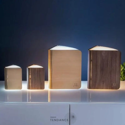 Lampe Livre Lumineux Gonku™ | France-Tendance