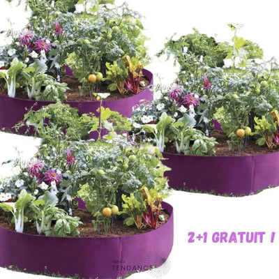 Magicgarden™ | Potager Instantané | France-Tendance