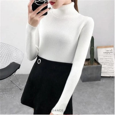 Pull Tricoté à Col Roulé | France-Tendance