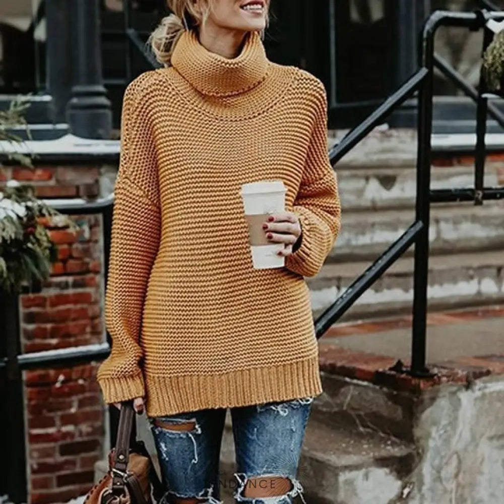Pull Tricoté à Col Roulé | France-Tendance
