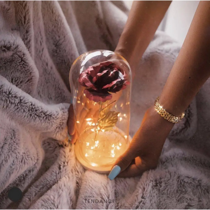 Rose Eternelle Enchantée: La Belle Et Bête | France-Tendance