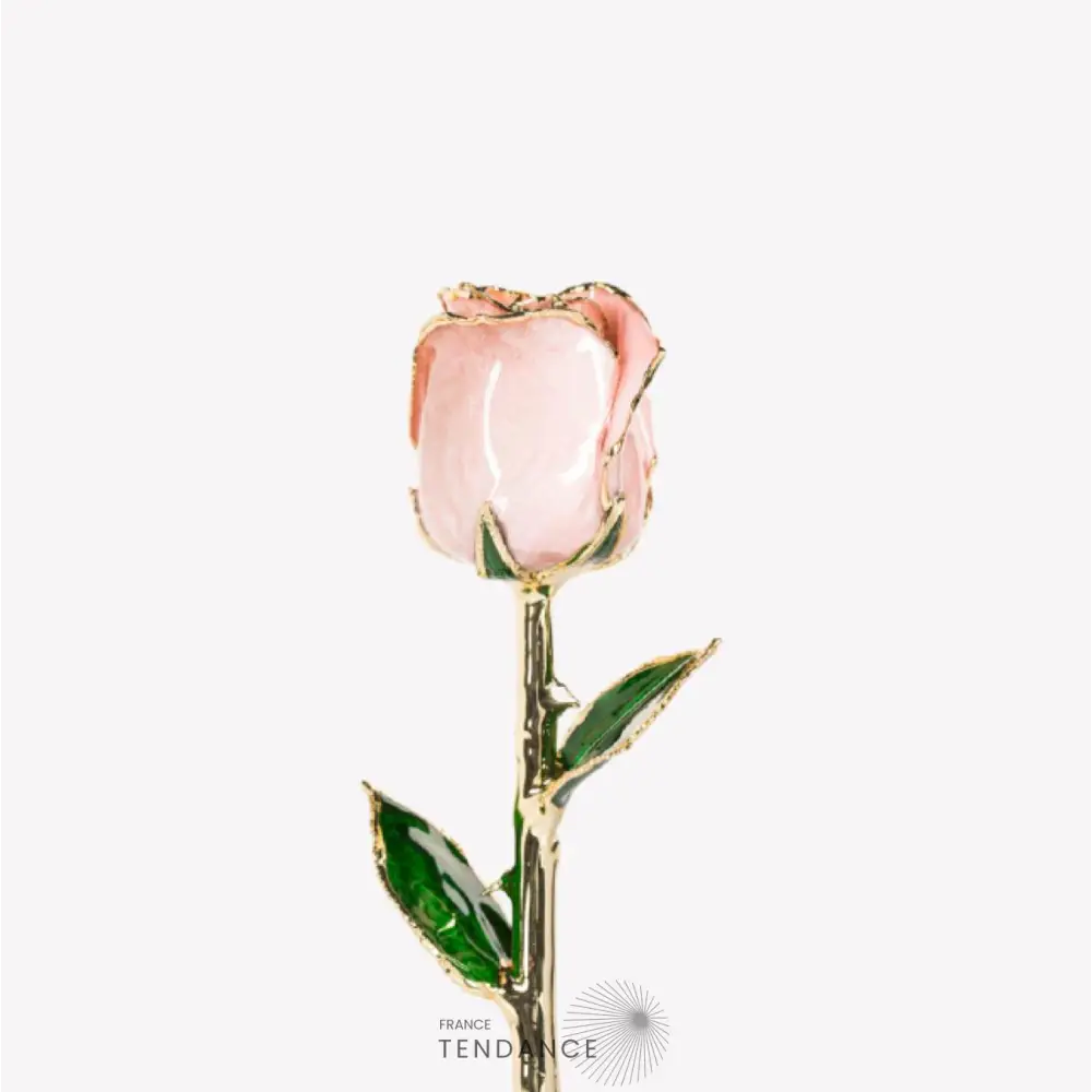 Rose En Or | France-Tendance