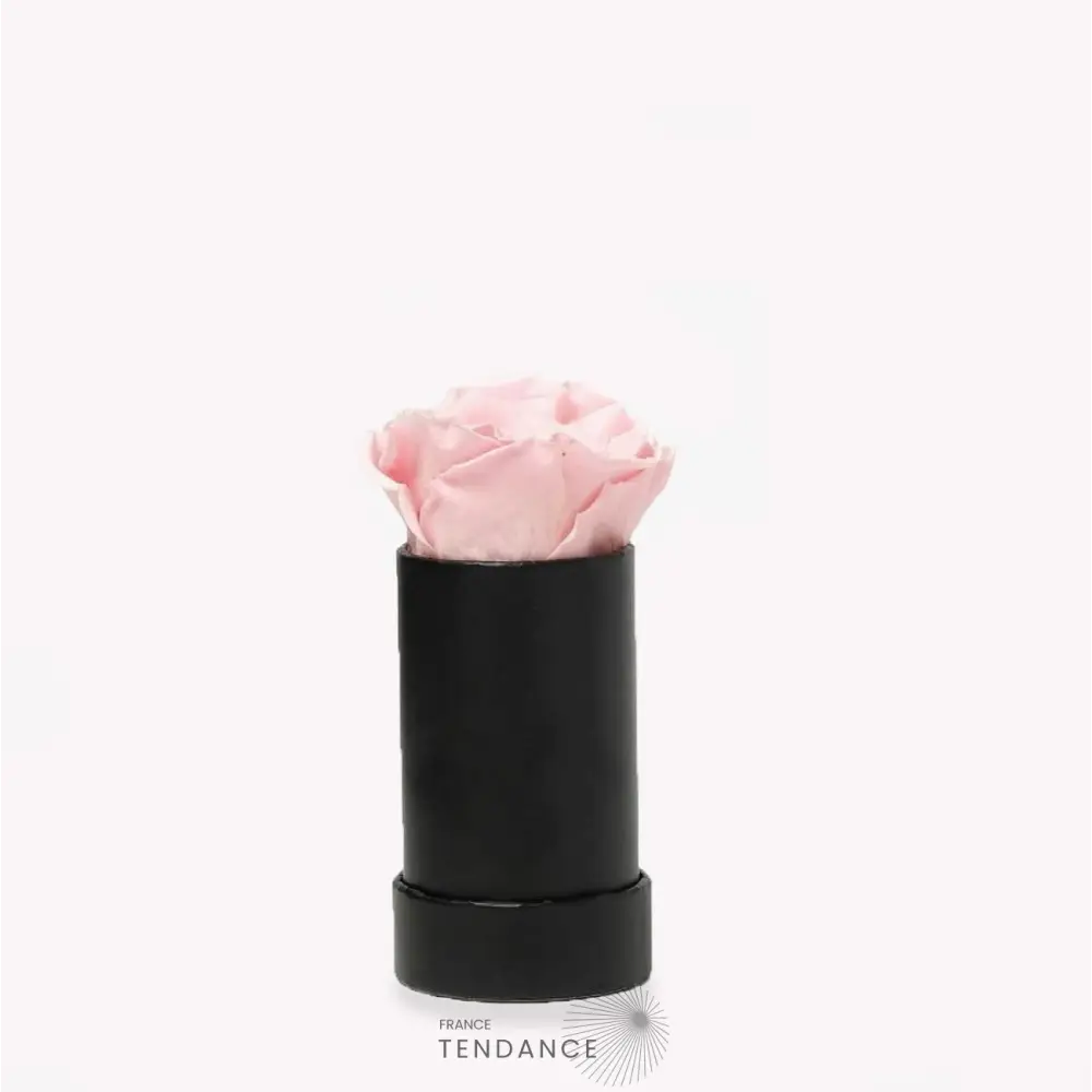 Rose Stabilisée Boite Noire | France-Tendance