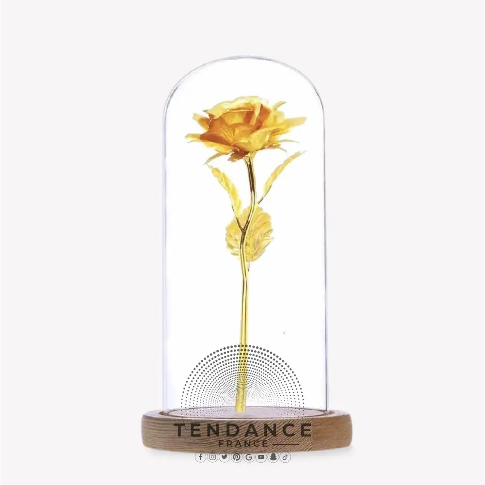 Rose éternelle Or Sous Cloche | France-Tendance